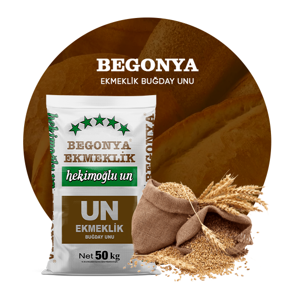 Begonya